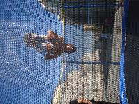 DSC00506.jpg