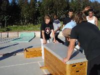 DSC00530.jpg