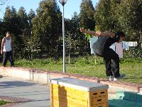 DSC00555.jpg