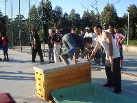 DSC00564.jpg