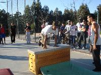 DSC00565.jpg