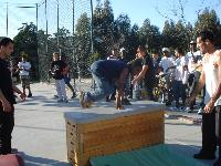 DSC00567.jpg