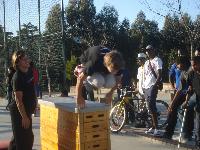 DSC00603.jpg