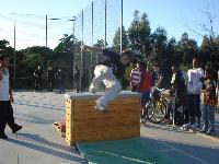 DSC00630.jpg