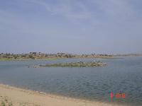 DSC04099.jpg