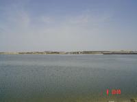 DSC04106.jpg