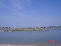 DSC04120.jpg