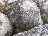 HPIM0353.jpg