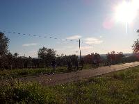 HPIM0203.jpg