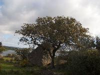 HPIM0301.jpg
