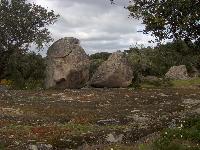 HPIM0309.jpg