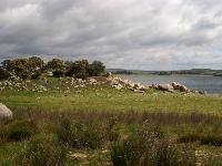 HPIM0336.jpg
