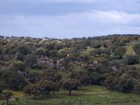 HPIM0358.jpg