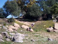 HPIM0404.jpg