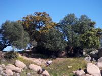 HPIM0405.jpg