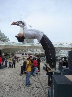DSC00482.JPG