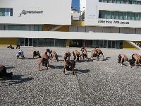 IMG_3938.jpg