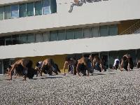 IMG_3941.jpg