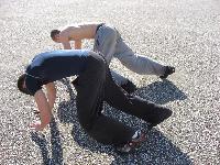 IMG_3935.jpg