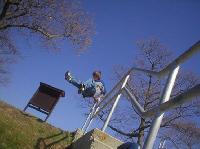 Parkour pic1.jpg